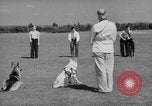 Image of trained dogs Chicago Illinois USA, 1938, second 23 stock footage video 65675056261