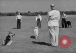 Image of trained dogs Chicago Illinois USA, 1938, second 24 stock footage video 65675056261