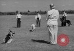 Image of trained dogs Chicago Illinois USA, 1938, second 25 stock footage video 65675056261