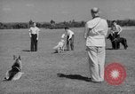 Image of trained dogs Chicago Illinois USA, 1938, second 26 stock footage video 65675056261