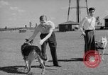 Image of trained dogs Chicago Illinois USA, 1938, second 32 stock footage video 65675056261