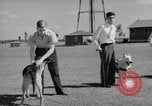 Image of trained dogs Chicago Illinois USA, 1938, second 33 stock footage video 65675056261
