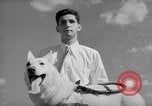 Image of trained dogs Chicago Illinois USA, 1938, second 34 stock footage video 65675056261