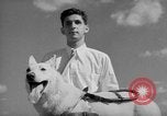 Image of trained dogs Chicago Illinois USA, 1938, second 35 stock footage video 65675056261