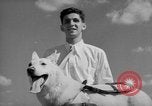 Image of trained dogs Chicago Illinois USA, 1938, second 36 stock footage video 65675056261