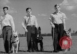 Image of trained dogs Chicago Illinois USA, 1938, second 37 stock footage video 65675056261