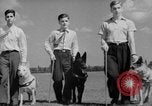 Image of trained dogs Chicago Illinois USA, 1938, second 38 stock footage video 65675056261