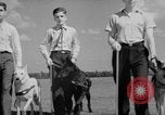 Image of trained dogs Chicago Illinois USA, 1938, second 39 stock footage video 65675056261