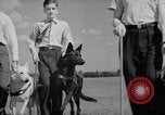 Image of trained dogs Chicago Illinois USA, 1938, second 40 stock footage video 65675056261