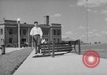 Image of trained dogs Chicago Illinois USA, 1938, second 41 stock footage video 65675056261