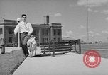 Image of trained dogs Chicago Illinois USA, 1938, second 43 stock footage video 65675056261