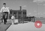Image of trained dogs Chicago Illinois USA, 1938, second 44 stock footage video 65675056261