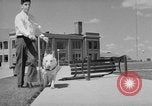 Image of trained dogs Chicago Illinois USA, 1938, second 45 stock footage video 65675056261