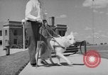 Image of trained dogs Chicago Illinois USA, 1938, second 46 stock footage video 65675056261