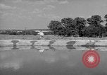 Image of trained dogs Chicago Illinois USA, 1938, second 48 stock footage video 65675056261