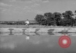 Image of trained dogs Chicago Illinois USA, 1938, second 49 stock footage video 65675056261