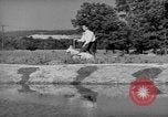 Image of trained dogs Chicago Illinois USA, 1938, second 50 stock footage video 65675056261