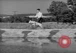 Image of trained dogs Chicago Illinois USA, 1938, second 51 stock footage video 65675056261