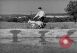 Image of trained dogs Chicago Illinois USA, 1938, second 52 stock footage video 65675056261