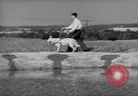 Image of trained dogs Chicago Illinois USA, 1938, second 53 stock footage video 65675056261