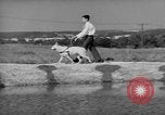 Image of trained dogs Chicago Illinois USA, 1938, second 54 stock footage video 65675056261