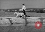 Image of trained dogs Chicago Illinois USA, 1938, second 55 stock footage video 65675056261