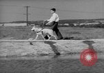 Image of trained dogs Chicago Illinois USA, 1938, second 56 stock footage video 65675056261