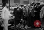 Image of trained dogs Chicago Illinois USA, 1938, second 61 stock footage video 65675056261