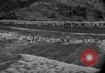 Immagine di Annuale derby marittime La Jolla California USA, 1938, secondo 6 filmato di repertorio 65675056264