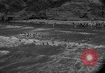 Immagine di Annuale derby marittime La Jolla California USA, 1938, secondo 11 filmato di repertorio 65675056264