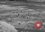 Immagine di Annuale derby marittime La Jolla California USA, 1938, secondo 17 filmato di repertorio 65675056264