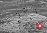Immagine di Annuale derby marittime La Jolla California USA, 1938, secondo 20 filmato di repertorio 65675056264