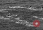 Immagine di Annuale derby marittime La Jolla California USA, 1938, secondo 24 filmato di repertorio 65675056264