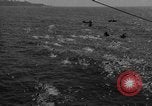 Immagine di Annuale derby marittime La Jolla California USA, 1938, secondo 39 filmato di repertorio 65675056264