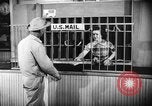 Standbild Country Store Kentucky United States USA, 1950, aus Sekunde 22 historischem Filmmaterial Videoclip 65675056270