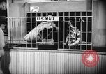 Standbild Country Store Kentucky United States USA, 1950, aus Sekunde 25 historischem Filmmaterial Videoclip 65675056270