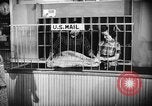 Standbild Country Store Kentucky United States USA, 1950, aus Sekunde 26 historischem Filmmaterial Videoclip 65675056270