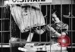 Standbild Country Store Kentucky United States USA, 1950, aus Sekunde 30 historischem Filmmaterial Videoclip 65675056270