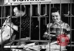 Standbild Country Store Kentucky United States USA, 1950, aus Sekunde 32 historischem Filmmaterial Videoclip 65675056270