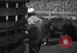 Standbild Industrie in Ottumwa Iowa Ottumwa Iowa USA, 1958, aus Sekunde 16 historischem Filmmaterial Videoclip 65675056275