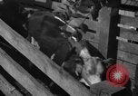 Standbild Industrie in Ottumwa Iowa Ottumwa Iowa USA, 1958, aus Sekunde 17 historischem Filmmaterial Videoclip 65675056275