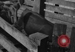 Standbild Industrie in Ottumwa Iowa Ottumwa Iowa USA, 1958, aus Sekunde 19 historischem Filmmaterial Videoclip 65675056275