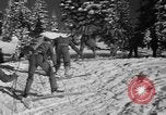 Image première patrouille de ski de l'US Army Mount Rainier Washington USA, 1940, de la seconde 16 séquences d'archives historiques vidéo 65675056282