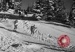 Image première patrouille de ski de l'US Army Mount Rainier Washington USA, 1940, de la seconde 23 séquences d'archives historiques vidéo 65675056282