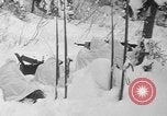 Image première patrouille de ski de l'US Army Mount Rainier Washington USA, 1940, de la seconde 36 séquences d'archives historiques vidéo 65675056282