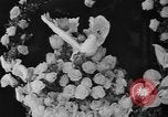 Image of 25th Annual National Hotel Exposition New York United States USA, 1940, second 14 stock footage video 65675056284