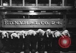 Image of nine mascot pups New York United States USA, 1940, second 5 stock footage video 65675056285