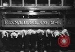 Image of nine mascot pups New York United States USA, 1940, second 6 stock footage video 65675056285
