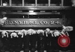 Image of nine mascot pups New York United States USA, 1940, second 7 stock footage video 65675056285