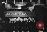 Image of nine mascot pups New York United States USA, 1940, second 9 stock footage video 65675056285